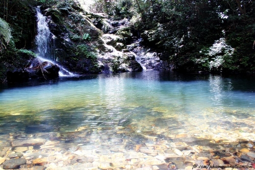 Ngũ Hồ